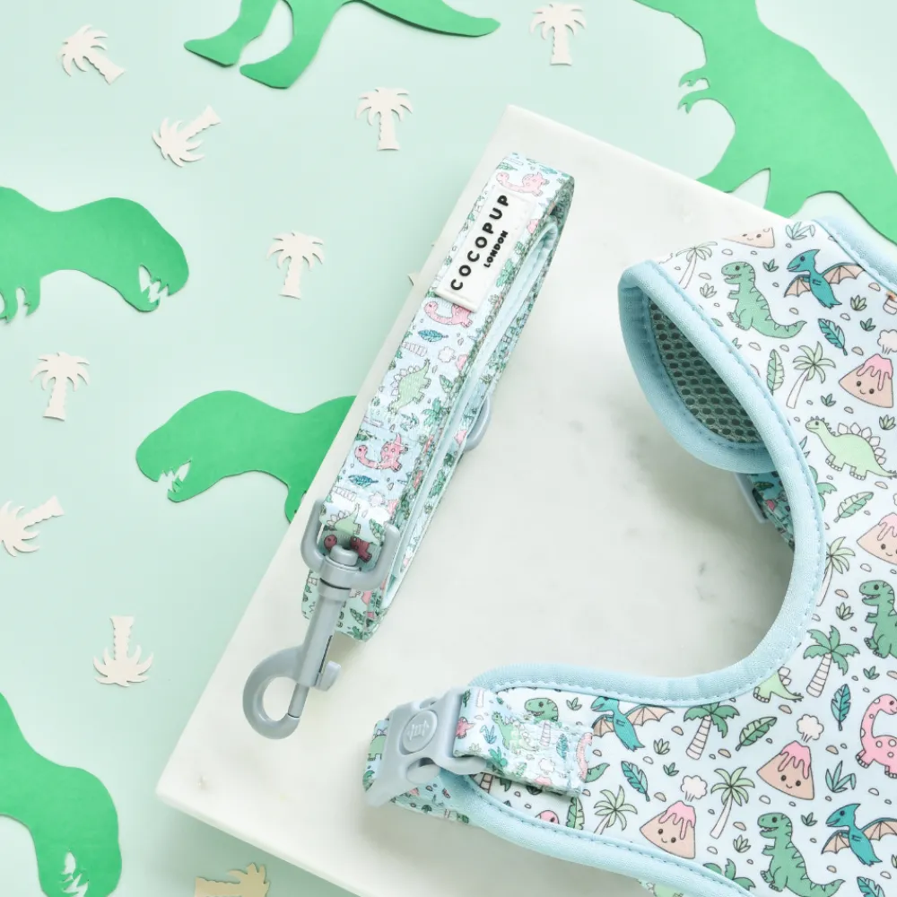 Cocopup Leads | Puppy Leads & Collars-Dinopaws Lead - Puppy