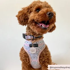 Cocopup Collar Charms-Dog Collar Charm - Crew