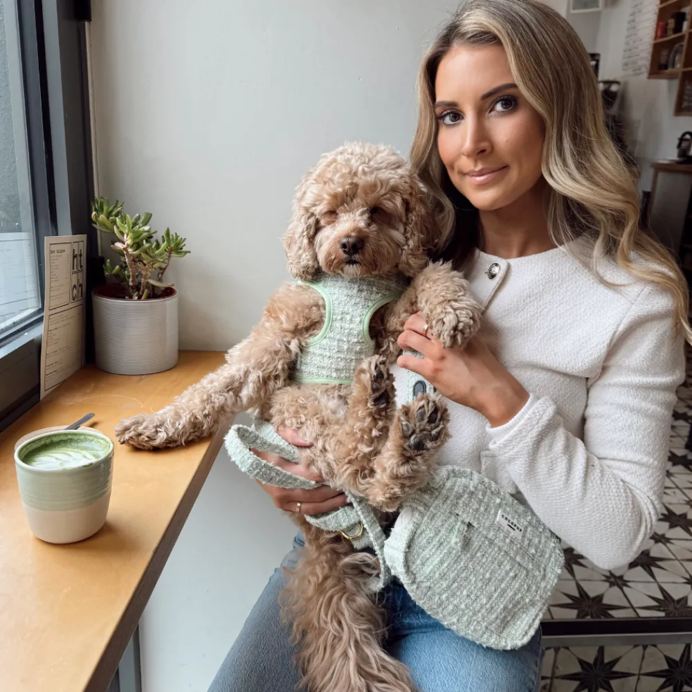 Cocopup Dog Walking Bags-Dog Walking Bag - Matcha Textured Tweed