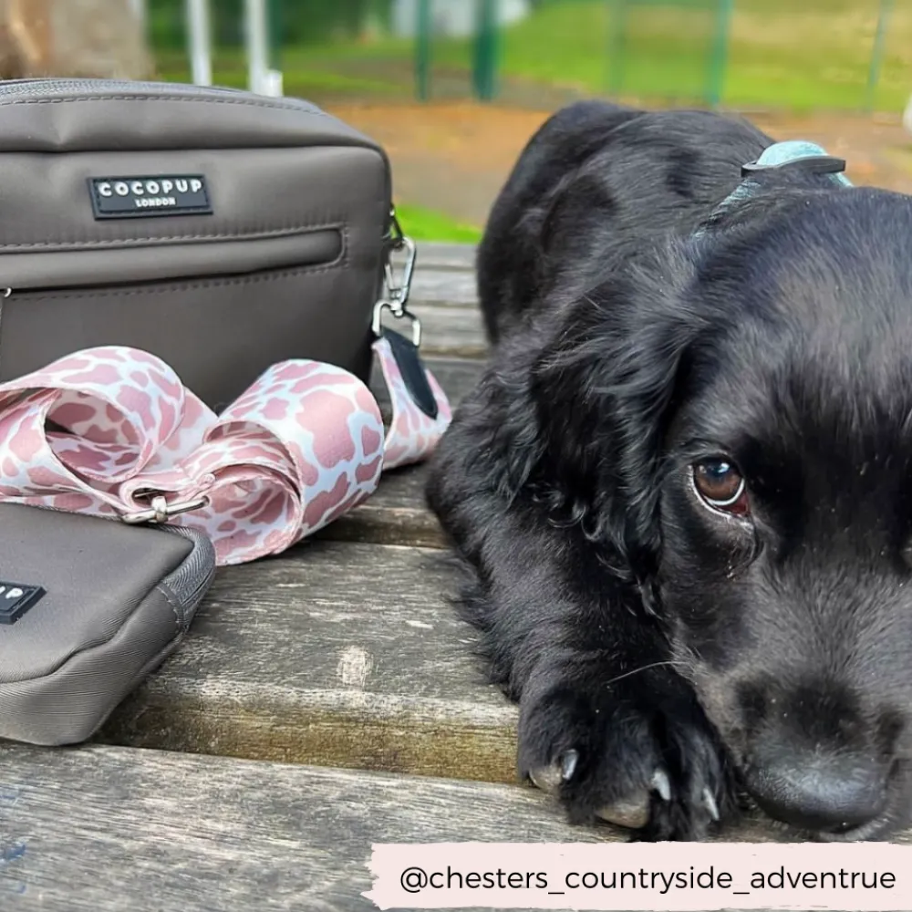 Cocopup Dog Walking Bags-Dog Walking Bag - Mocha