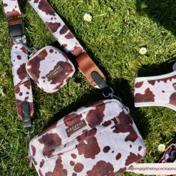 Cocopup Dog Walking Bags-Dog Walking Bag - Rodeo Pup