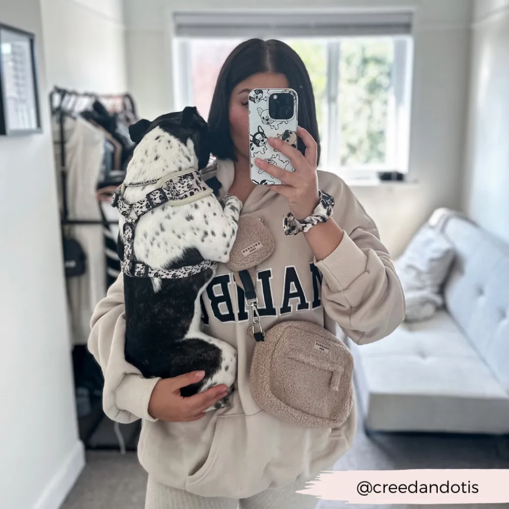 Cocopup Rucksack Accessories | Dog Walking Bags-Dog Walking Bag - Teddy Rupert