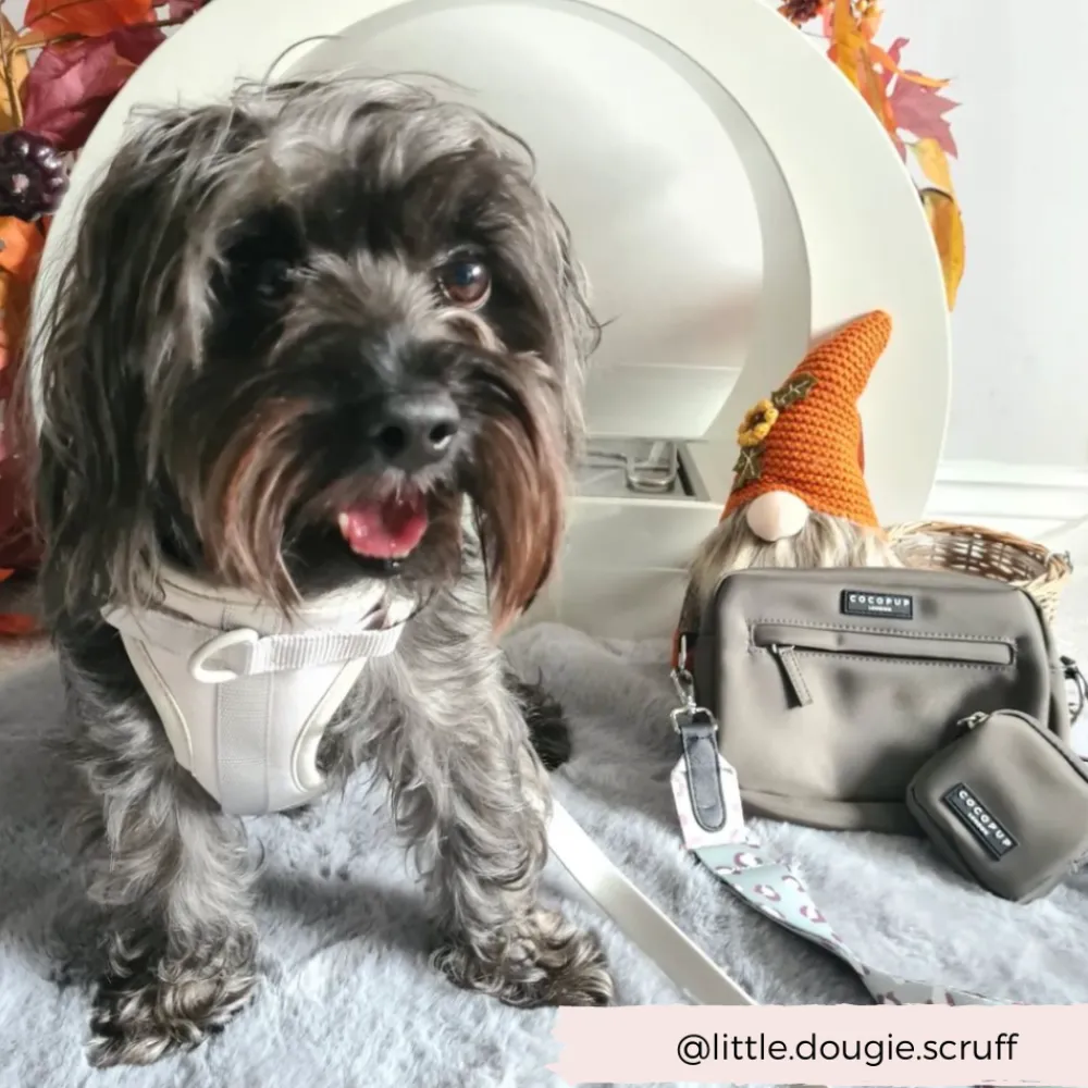 Cocopup Classic Bag Bundles-Dog Walking Bag Bundle - Sage Leopard