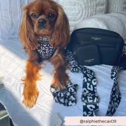 Cocopup Classic Bag Bundles-Dog Walking Black Bag Bundle - Black Leopard
