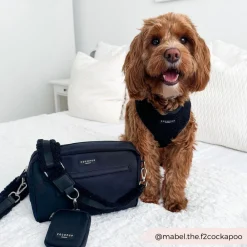Cocopup Classic Bag Bundles-Dog Walking Black Bag Bundle - Teddy Baloo