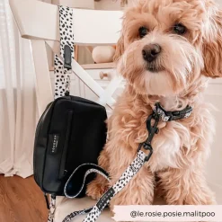 Cocopup Classic Bag Bundles-Dog Walking Black Bag Bundle - Monochrome Spots
