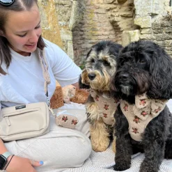 Cocopup Classic Bag Bundles-Dog Walking Caramel Latte Bag Bundle - Theo Embroidered Teddy