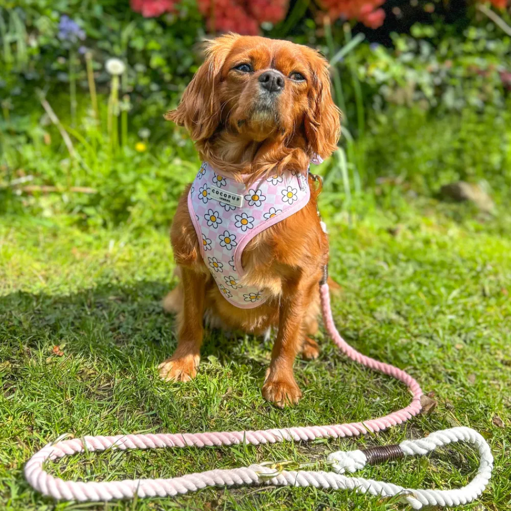 Cocopup Rope Leads-Double Ended Rope Lead - Baby Pink