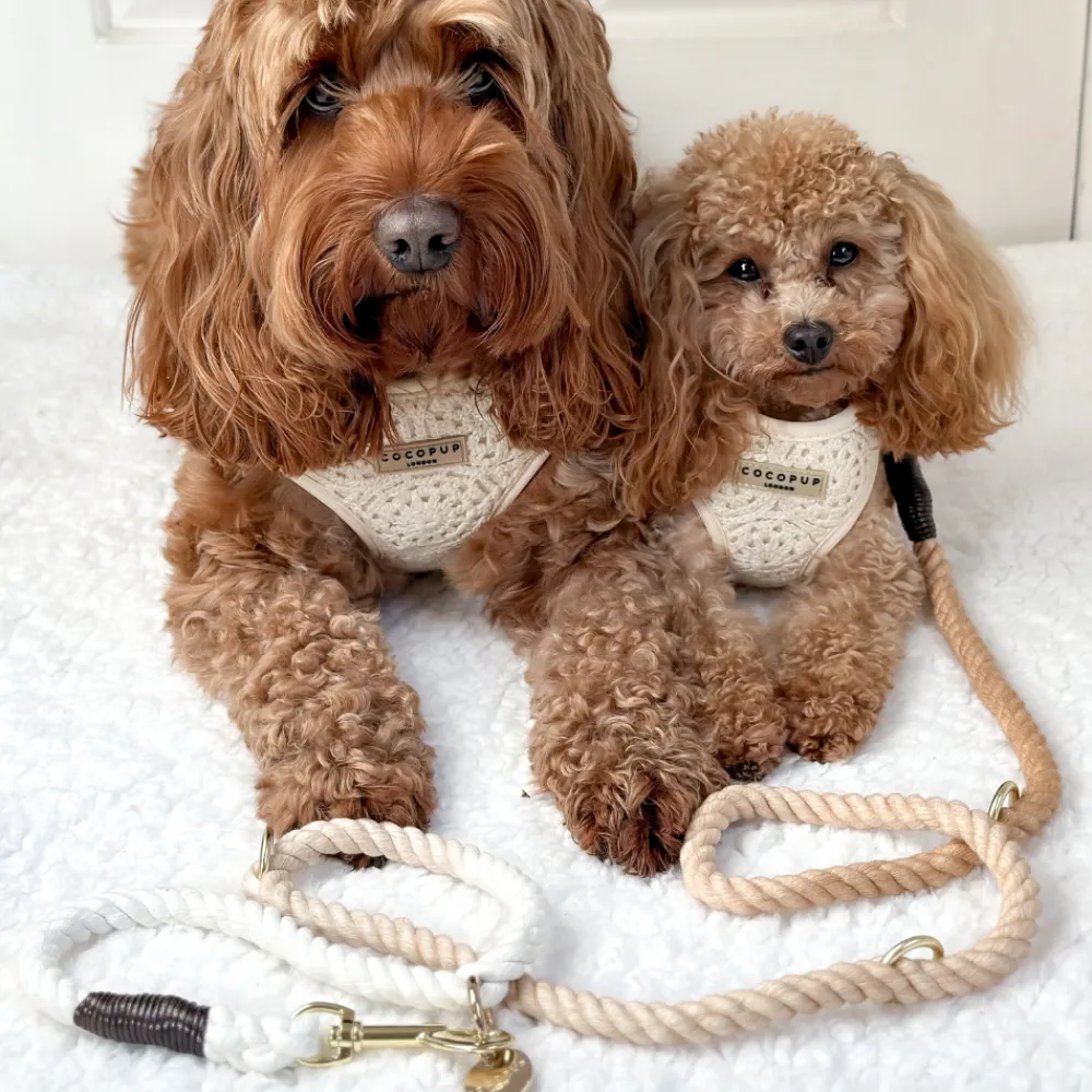 Cocopup Rope Leads-Double Ended Rope Lead - Cappuccino