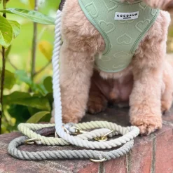 Cocopup Rope Leads-Double Ended Rope Lead - Pistachio Green