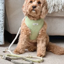 Cocopup Rope Leads-Double Ended Rope Lead - Pistachio Green