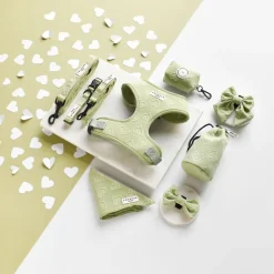 Cocopup Drawstring Treat Pouches | Rucksack Accessories-Drawstring Treat Pouch - Sage Heart