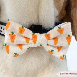 Cocopup Bow Ties-Easter Carrot Bow Tie