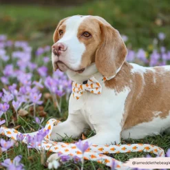Cocopup Bow Ties-Easter Carrot Bow Tie