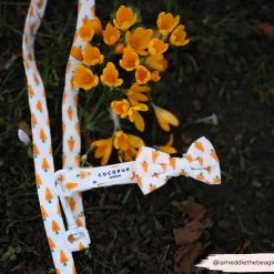 Cocopup Collars | Puppy Leads & Collars-Easter Carrot COLLAR
