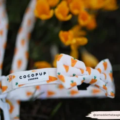 Cocopup Collars | Puppy Leads & Collars-Easter Carrot COLLAR