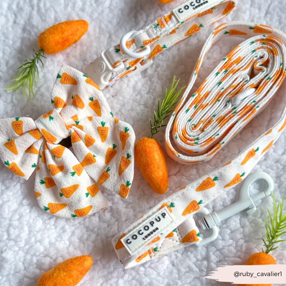 Cocopup Leads-Easter Carrot Lead