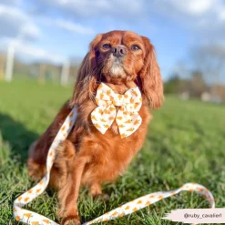 Cocopup Leads-Easter Carrot Lead