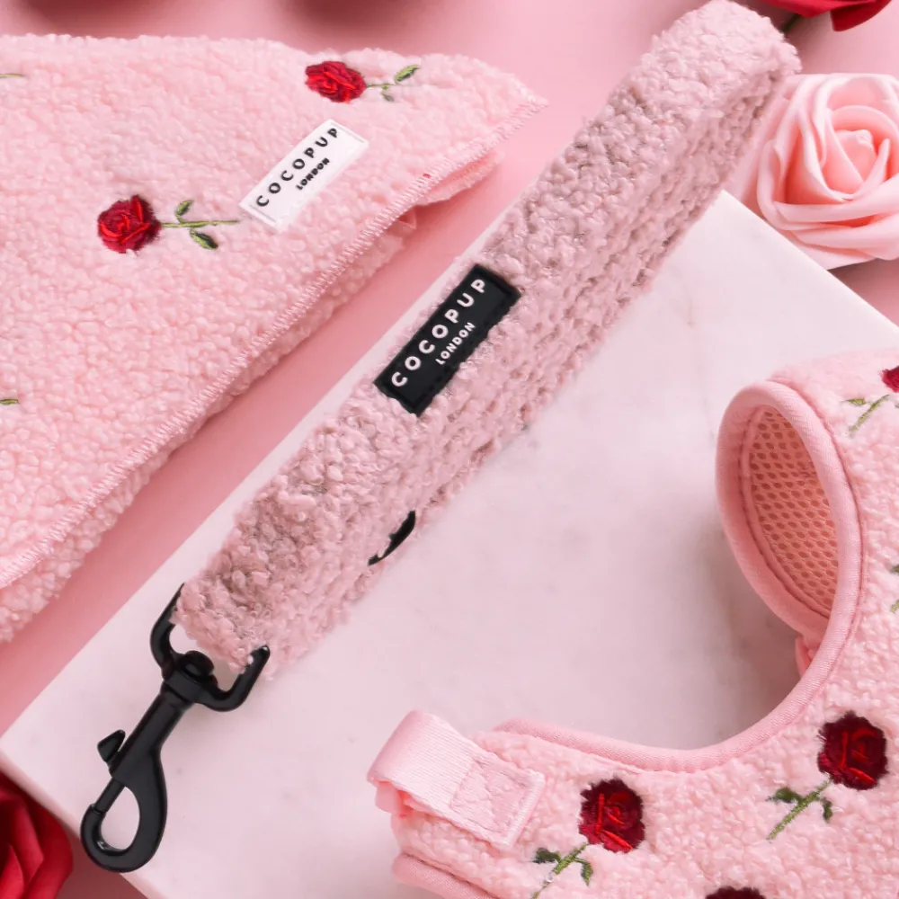Cocopup Adjustable Harness Bundles-Embroidered Roses Teddy Adjustable Neck Harness, Lead & Collar Bundle