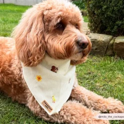 Cocopup Bandanas-Embroidered Woodland Walkies Bandana