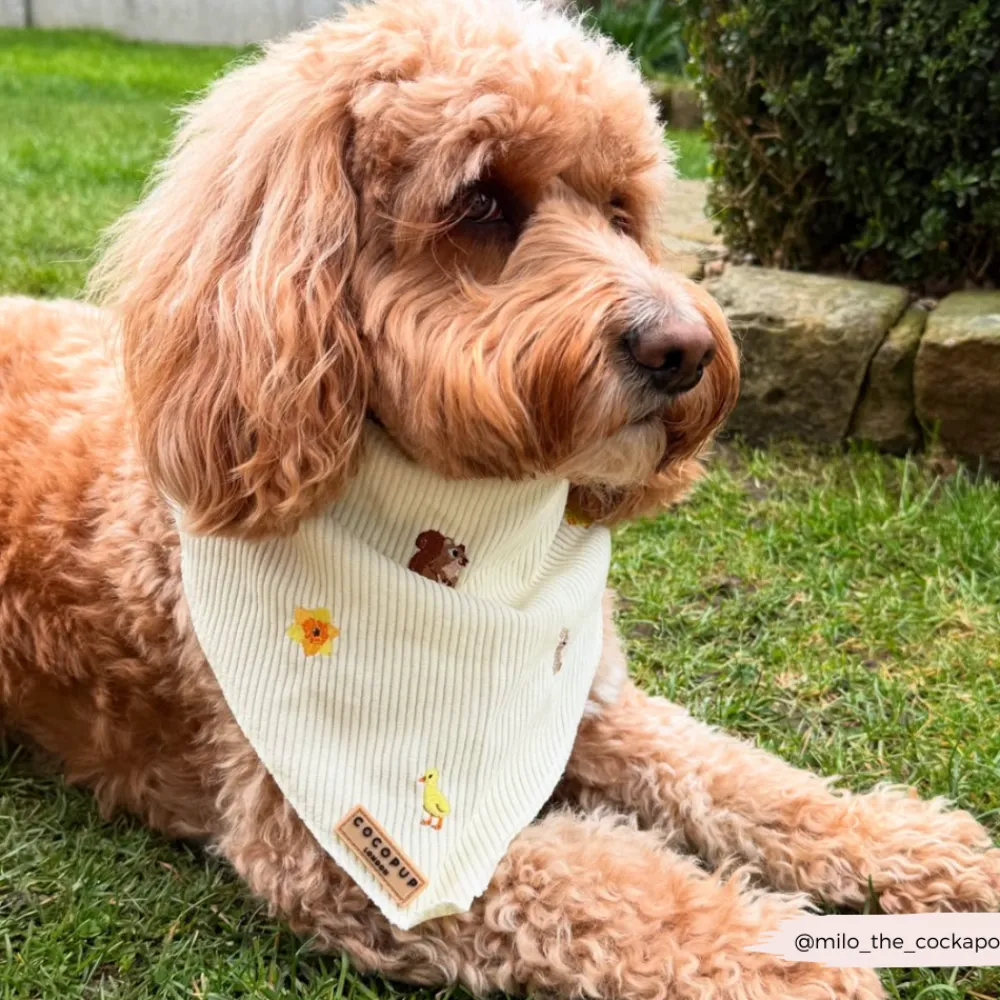 Cocopup Bandanas-Embroidered Woodland Walkies Bandana