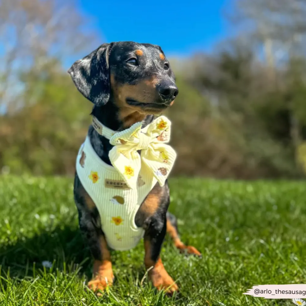 Cocopup Sailor Bow Ties-Embroidered Woodland Walkies Sailor Bow Tie