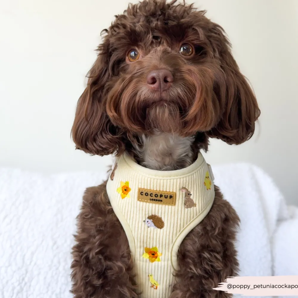 Cocopup Adjustable Neck Harnesses-Embroidered Woodland Walkies Adjustable Neck HARNESS