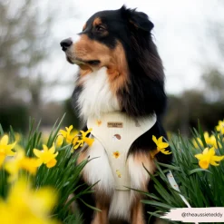 Cocopup Adjustable Neck Harnesses-Embroidered Woodland Walkies Adjustable Neck HARNESS