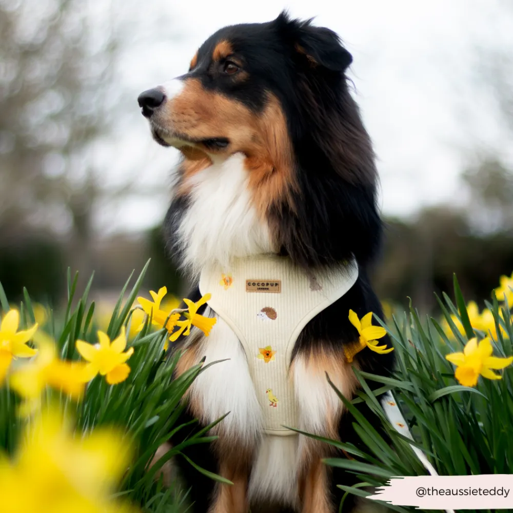 Cocopup Adjustable Neck Harnesses-Embroidered Woodland Walkies Adjustable Neck HARNESS