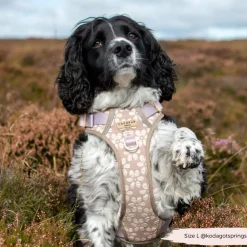 Cocopup Cocopup Explore Harnesses ⛰️-Explore Harness - Mocha Flower
