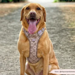 Cocopup Cocopup Explore Harnesses ⛰️-Explore Harness - Mocha Flower
