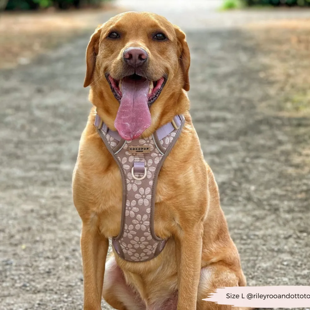 Cocopup Cocopup Explore Harnesses ⛰️-Explore Harness - Mocha Flower