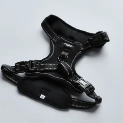 Cocopup Adjustable Neck Harnesses | Cocopup Explore Harnesses ⛰️-Explore Harness - NAKD Liquorice