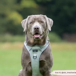Cocopup Adjustable Neck Harnesses | Cocopup Explore Harnesses ⛰️-Explore Harness - Sage Tweed