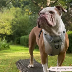Cocopup Adjustable Neck Harnesses | Cocopup Explore Harnesses ⛰️-Explore Harness - Sage Tweed