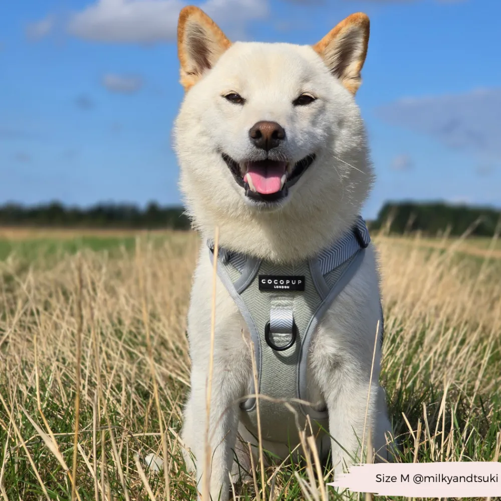 Cocopup Adjustable Neck Harnesses | Cocopup Explore Harnesses ⛰️-Explore Harness - Sage Tweed