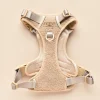 Cocopup Adjustable Neck Harnesses | Cocopup Explore Harnesses ⛰️-Explore Harness - Teddy Rupert