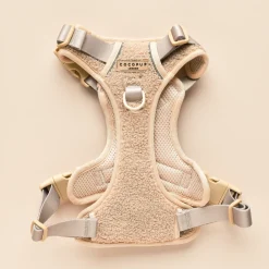 Cocopup Adjustable Neck Harnesses | Cocopup Explore Harnesses ⛰️-Explore Harness - Teddy Rupert