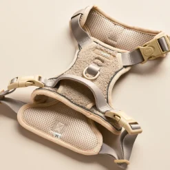 Cocopup Adjustable Neck Harnesses | Cocopup Explore Harnesses ⛰️-Explore Harness - Teddy Rupert