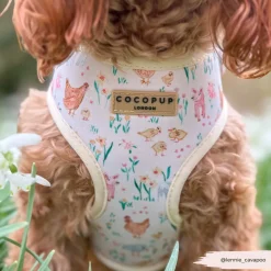 Cocopup Adjustable Neck Harnesses-Farmyard Friends Adjustable Neck HARNESS