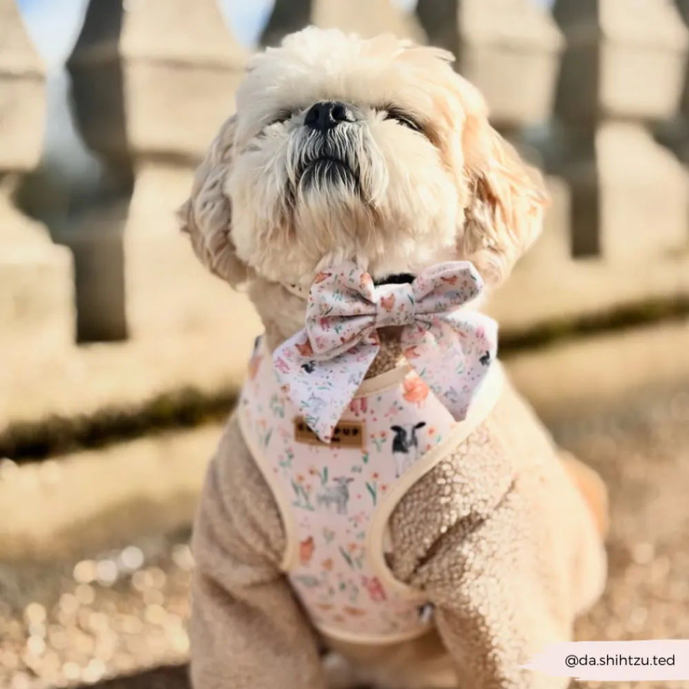 Cocopup Sailor Bow Ties-Farmyard Friends Sailor Bow Tie