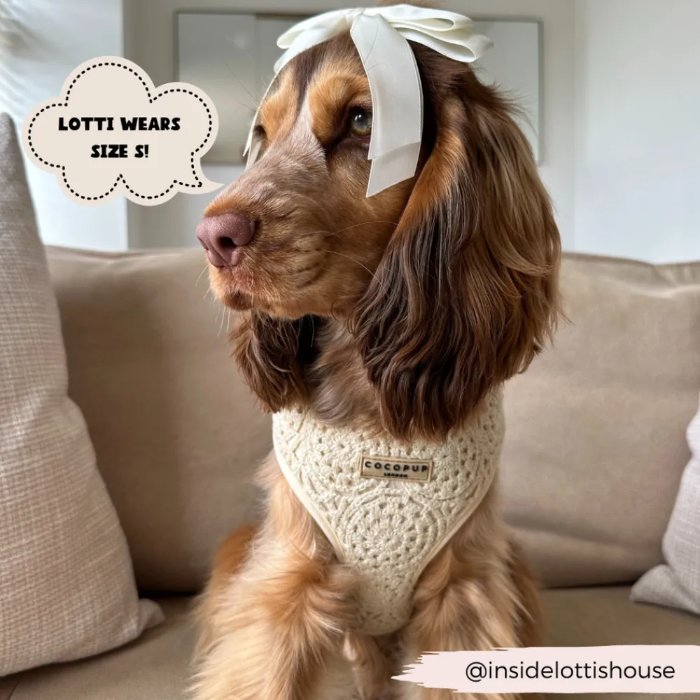 Cocopup Adjustable Harness Bundles-Festival Crochet Adjustable Neck Harness, Lead & Collar Bundle