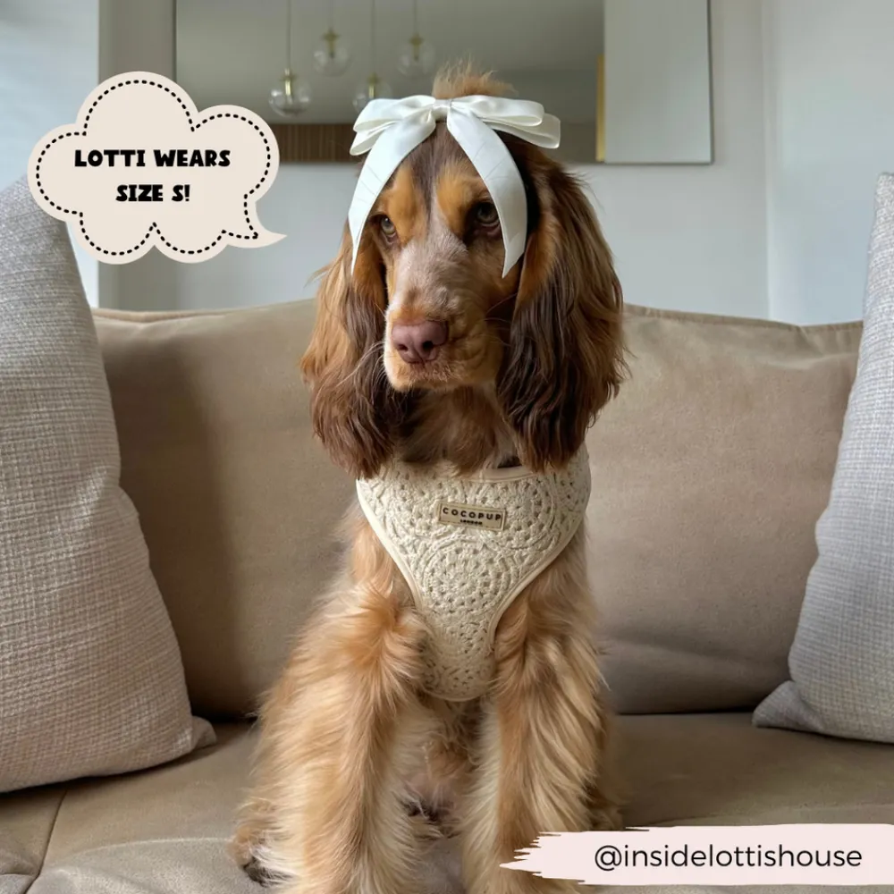 Cocopup Adjustable Harness Bundles-Festival Crochet Adjustable Neck Harness, Lead & Collar Bundle