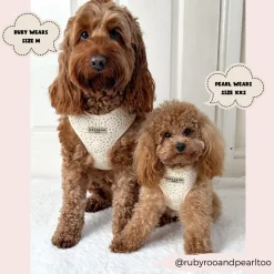Cocopup Adjustable Harness Bundles-Festival Crochet Adjustable Neck Harness, Lead & Collar Bundle