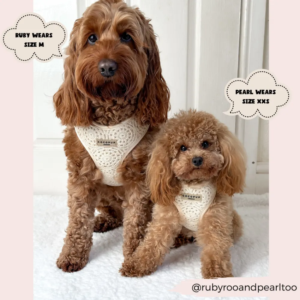 Cocopup Adjustable Harness Bundles-Festival Crochet Adjustable Neck Harness, Lead & Collar Bundle