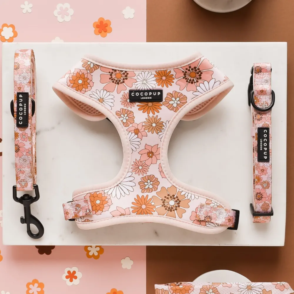 Cocopup Adjustable Harness Bundles-Groovy Florals Adjustable Neck Harness, Lead & Collar Bundle