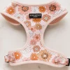 Cocopup Adjustable Neck Harnesses-Groovy Florals Adjustable Neck HARNESS