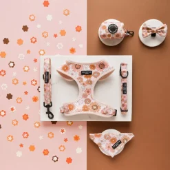 Cocopup Adjustable Neck Harnesses-Groovy Florals Adjustable Neck HARNESS