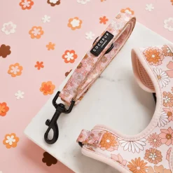 Cocopup Adjustable Harness Bundles-Groovy Florals Adjustable Neck Harness, Lead & Collar Bundle