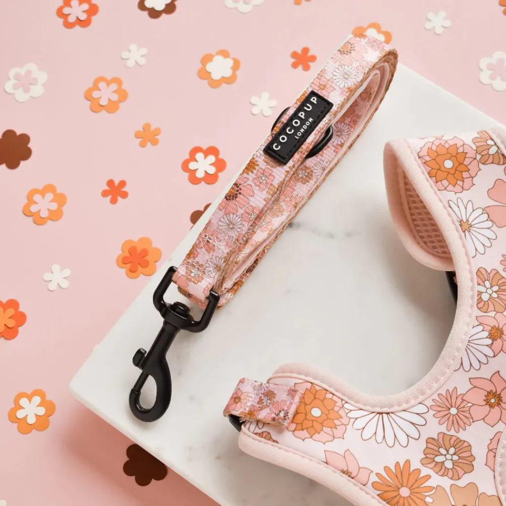 Cocopup Adjustable Harness Bundles-Groovy Florals Adjustable Neck Harness, Lead & Collar Bundle
